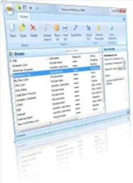 Password Memory 2008 v1.0.3.99