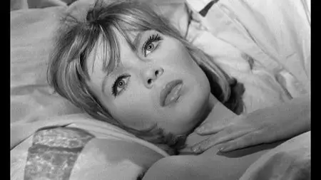 Strip-tease / Sweet Skin (1963) [ReUp]