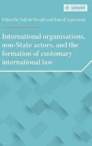 International Organisations, Non-State Actors and the Formation of Customary International Law