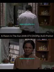 A Raisin In The Sun 2008 STV DVDRip XviD PreVail