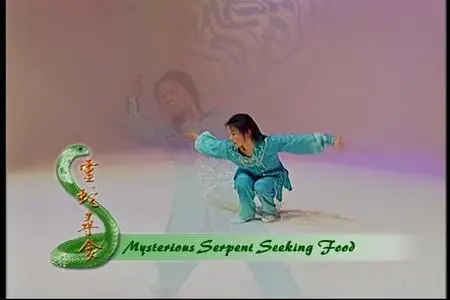 TC Media - Snake Fist Emei Style (2001)