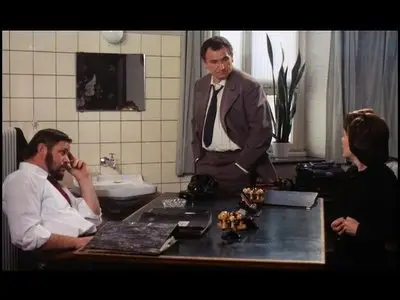 Die Zärtlichkeit der Wölfe (1973)
