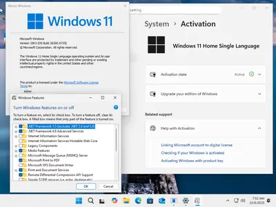 Windows 11 Aio 16in1 25H2 Build 26200.6725 (No TPM Required) Preactivated