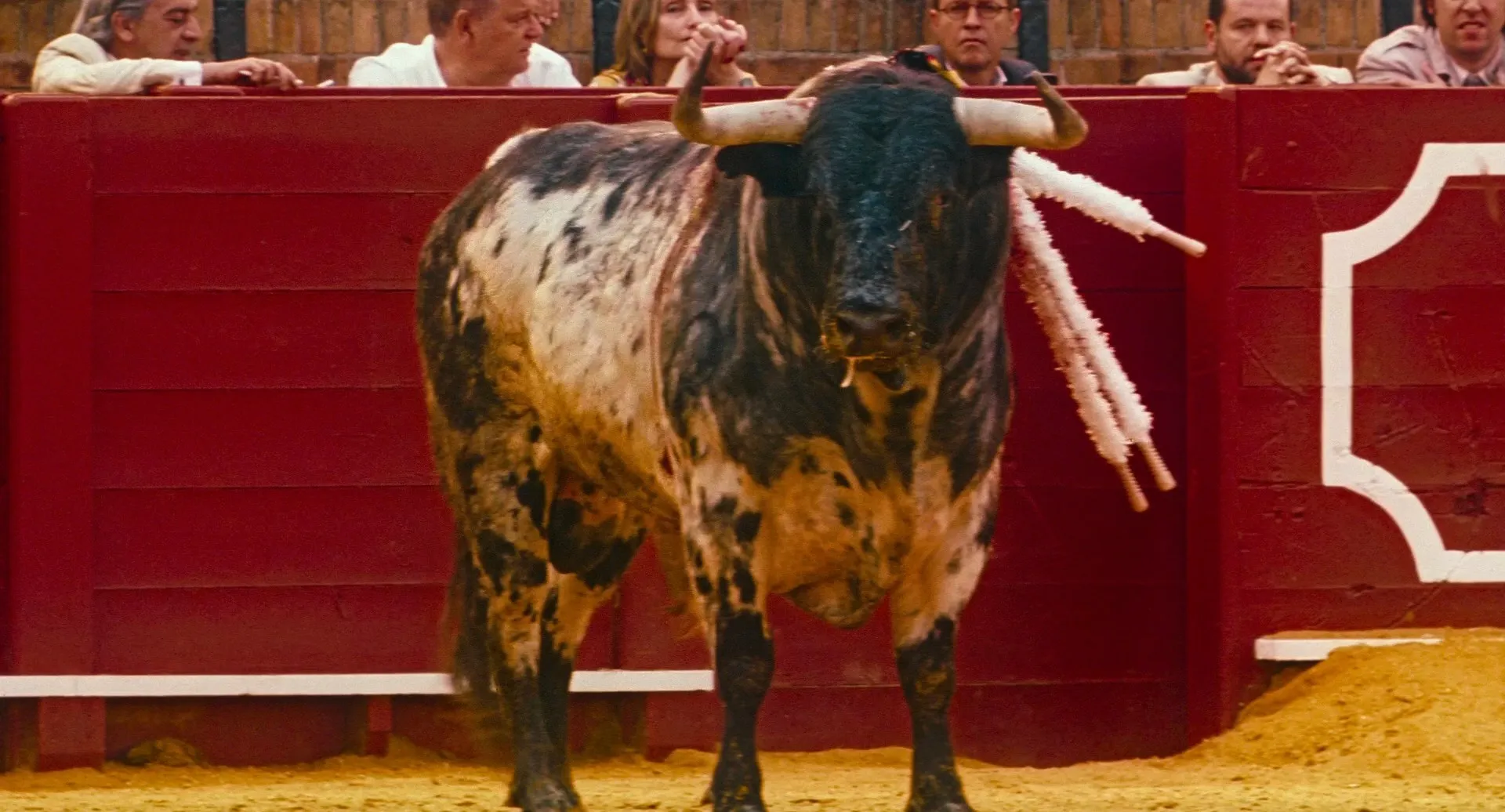 Tardes de soledad / Afternoons of Solitude (2024)