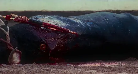 Tardes de soledad / Afternoons of Solitude (2024)