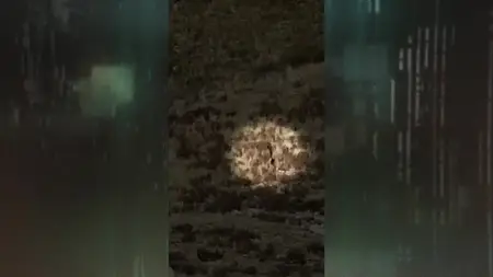 The Loch S05E03