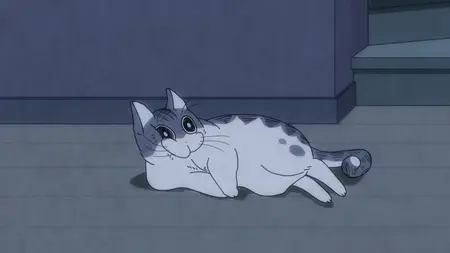 Nights with a Cat (2022 S02E03 Night 33 Sleepy Cat pspspsps mkv vol01+02