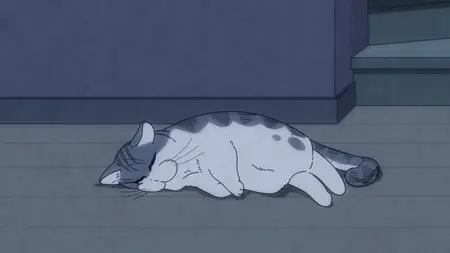 Nights with a Cat (2022 S02E03 Night 33 Sleepy Cat pspspsps mkv vol01+02