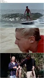 The Endless Summer (1966) [Open Matte]  + Extras