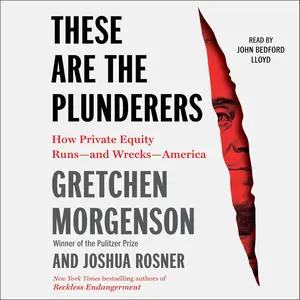 These Are the Plunderers: How Private Equity Runs—and Wrecks—America