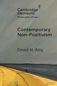 Contemporary Non-Positivism