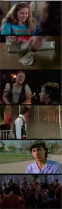 Fast Times at Ridgemont High (1982) [The Criterion Collection]