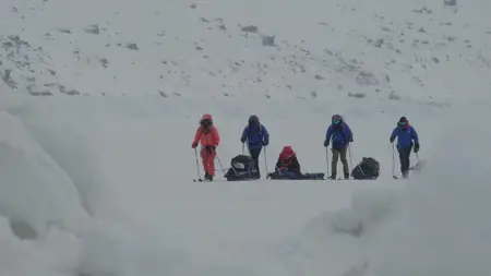 Operation Arctic Cure (2024) [MultiSubs]