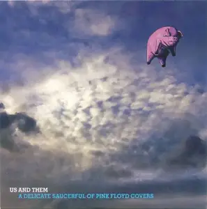 VA - Us and Them: A Delicate Saucerful of Pink Floyd Covers (2011)