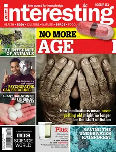 Very Interesting - Issue 83, September 2025