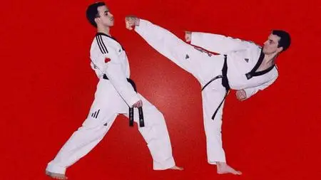 Taekwondo Examination Program Up To Black Belt