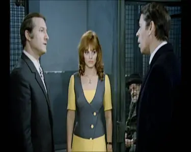 Les Assassins de l'ordre (1971)