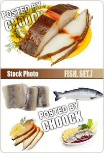 Fish. Set.7 - Stock Photo
