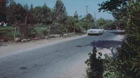 An American Hippie in Israel (1972)