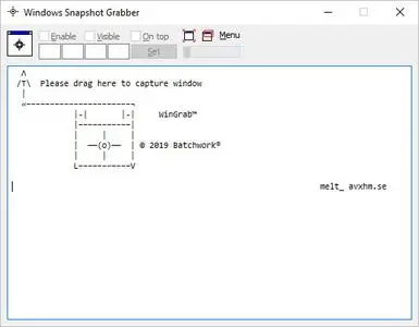 Windows Snapshot Grabber 2022.14.517.2904