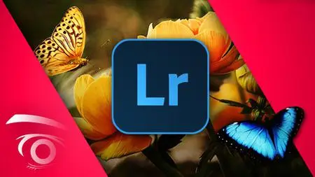 Adobe Lightroom Classic CC: Master the Develop Module