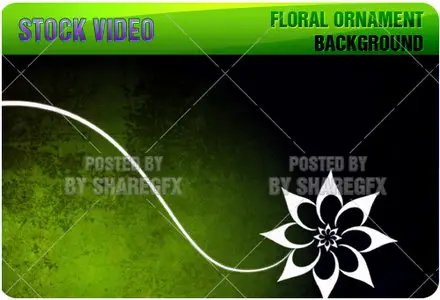 Video Footages - Floral Ornament Background