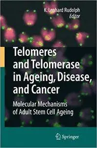 Telomeres and Telomerase in Aging, Disease, and Cancer: Molecular Mechanisms of Adult Stem Cell Ageing (Repost)