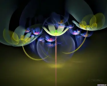 3D Flowers