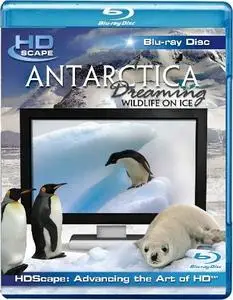 HDScape : Antarctica Dreaming - WildLife On Ice (2006)