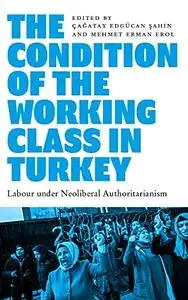 The Condition of the Working Class in Turkey: Labour under Neoliberal Authoritarianism