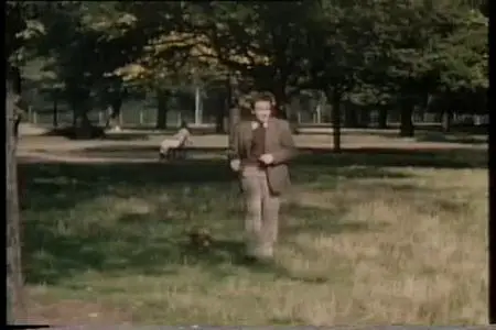 Arena - The Peter Sellers Story (1995)