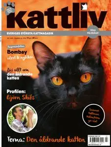 Kattliv – 12 oktober 2021