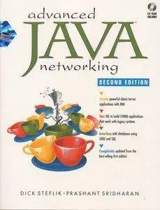 Advanced Java Networking [Repost]