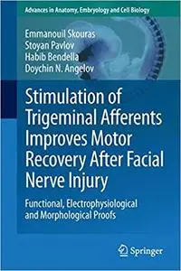 Stimulation of Trigeminal Afferents Improves Motor Recovery After Facial Nerve Injury: Functional, Electrophysiological