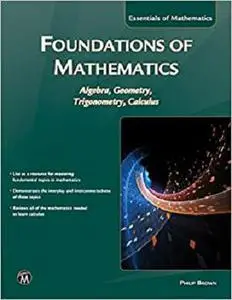 Foundations of Mathematics: Algebra, Geometry, Trigonometry and Calculus (Essentials of Mathematics)