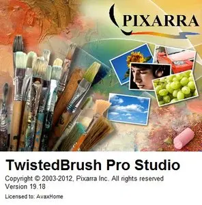 TwistedBrush Pro Studio 19.18