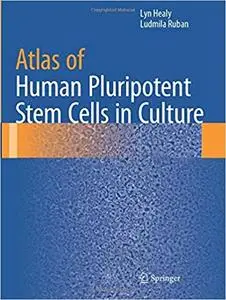 Atlas of Human Pluripotent Stem Cells in Culture