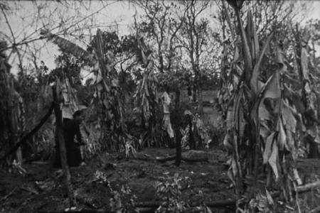 Argos Films - 17th Parallel: Vietnam in War (1968)
