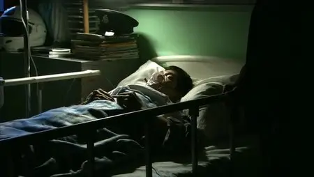 Dragon Heat (2005)