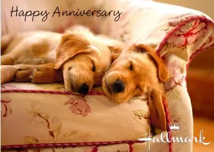 Hallmark Card Studio 2013 (14.0.0.28) Deluxe