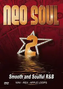 Big Fish Audio Neo Soul Vol 2 Smooth and Soulful RnB MULTiFORMAT