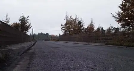 Under the Skin (2013)
