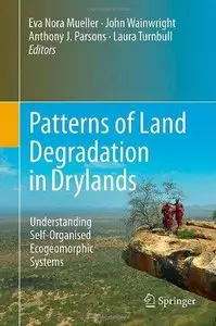 Patterns of Land Degradation in Drylands: Understanding Self-Organised Ecogeomorphic Systems (Repost)