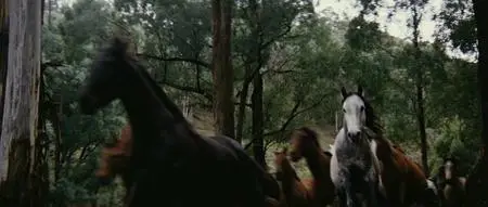 The Man from Snowy River (1982)