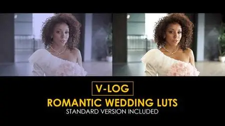 V-Log Romantic Wedding and Standard LUTs 51434065