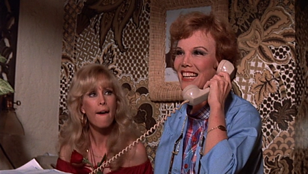 Harper Valley P.T.A. (1978)