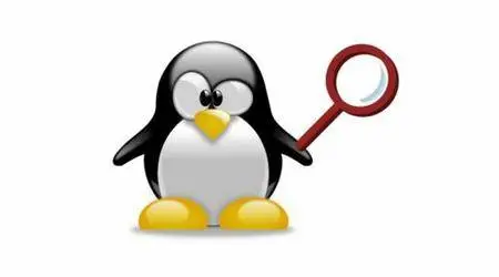 Searching in Linux: Regular Expressions for Beginners