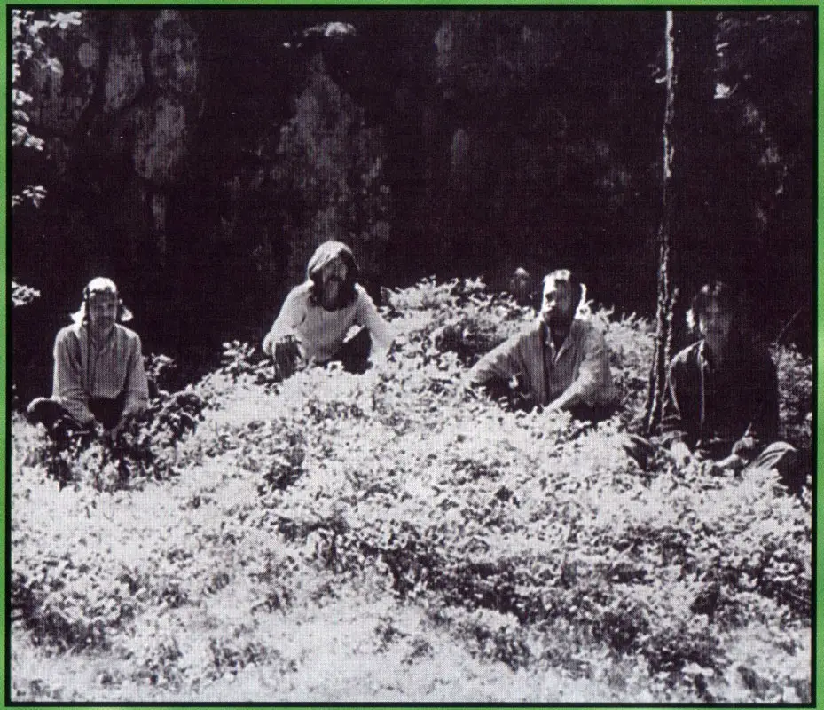 Träd, Gräs Och Stenar - Träd, Gräs Och Stenar (1970)