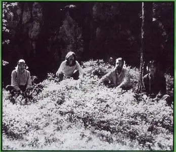 Träd, Gräs Och Stenar - Träd, Gräs Och Stenar (1970)