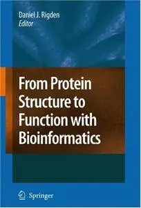 From Protein Structure to Function with Bioinformatics